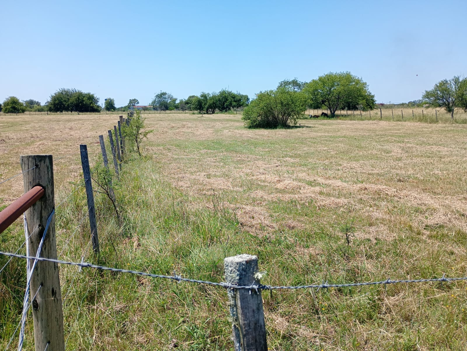 Gran Terreno de 1700 m² - miniatura 3